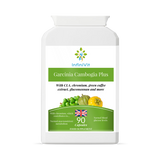 Holland & Barrett InfiniVit Garcinia Cambogia Plus Dietary Supplement Capsules - 90 Capsules- Buy online at McGrocer