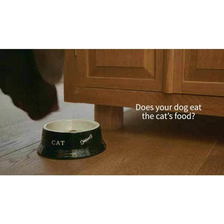SureFeed microchip pet feeder white plastic, imported from the UK