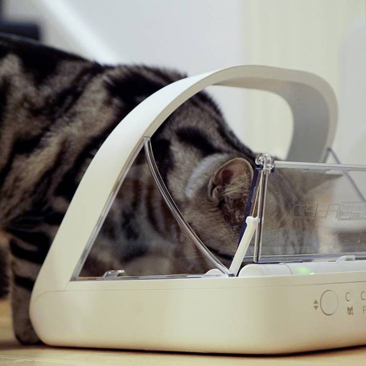 SureFeed microchip pet feeder white plastic, imported from the UK