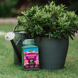 Westland Ericaceous Specialist Liquid Feed 1L 1L GOODS M&S