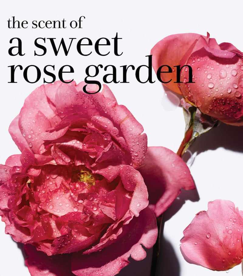 Fresh rose hydration face cream 15ml - British product