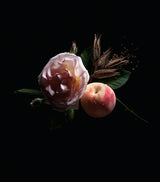 Harrods Elegant Floral Chypre Perfume with Peach and Woody Notes 50ml- Buy online at McGrocer