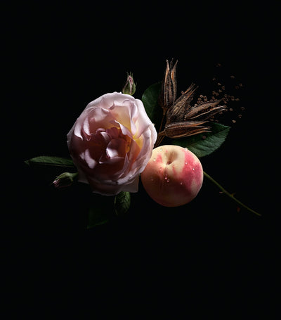 Harrods Elegant Floral Chypre Perfume with Peach and Woody Notes 50ml- Buy online at McGrocer