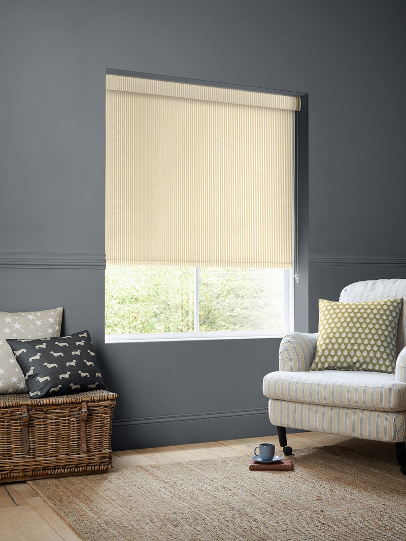 Emily Bond Gold Oscar Stripe roller blinds (British brand)