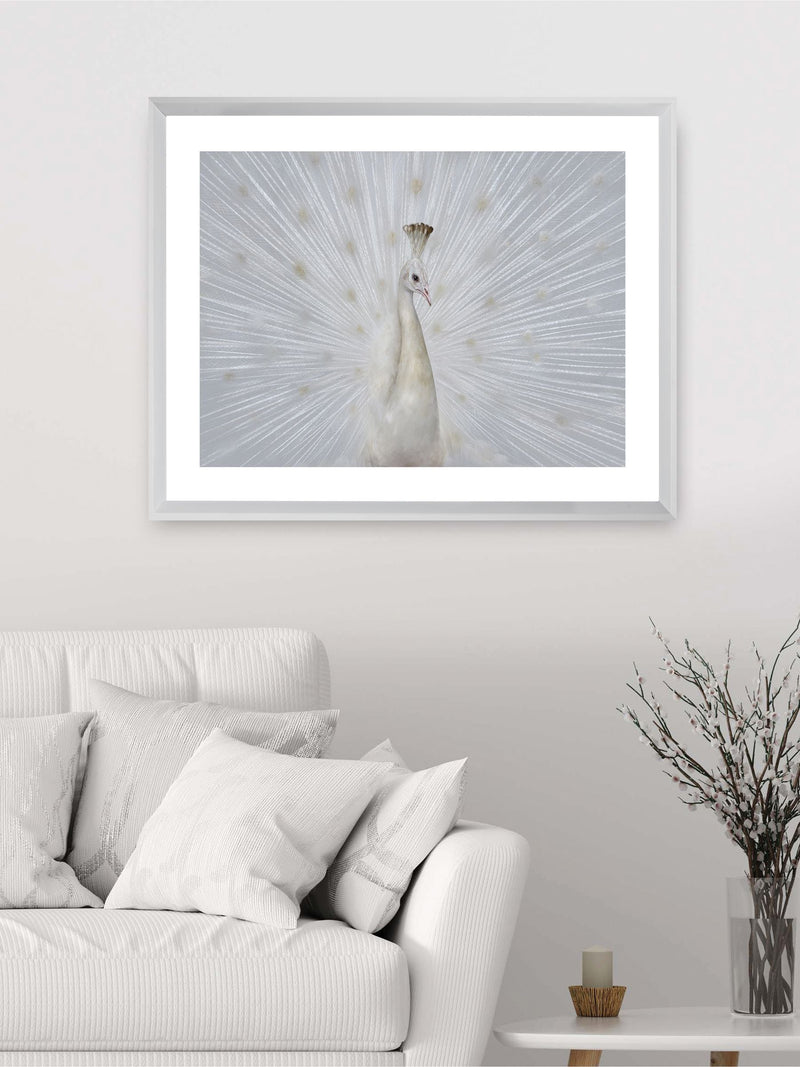 Brookpace Lascelles white peacock fan framed artwork - British product