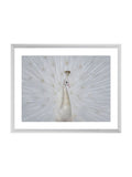 Brookpace Lascelles white peacock fan framed artwork - British product