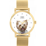 Superdrug Toff London White Ladies Brown Yorkshire Terrier Dog Head Watch- Buy online at McGrocer