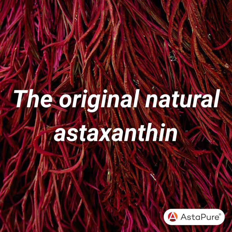 Astaxanthin skin health supplement 28 capsules - British product