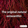 Astaxanthin skin health supplement 28 capsules - British product