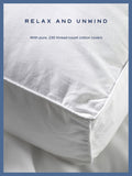 Snuggledown firm white pillow 2 pack (British brand)