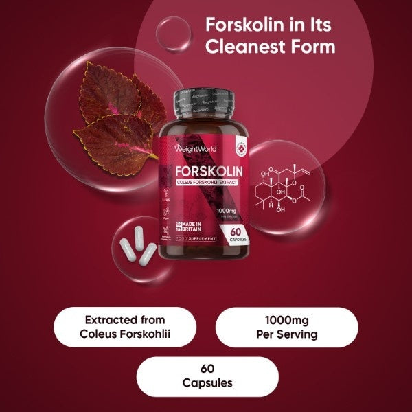 WeightWorld Forskolin vegan capsules 1000mg UK version