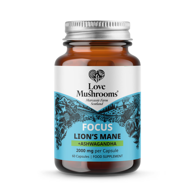 Love Mushrooms Lion's Mane Ashwagandha supplement capsules 2000mg, imported from the UK