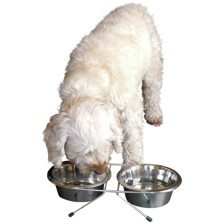 Rosewood double dog and cat diner medium, imported from the UK