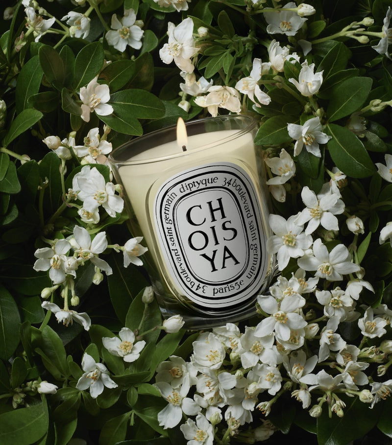 Diptyque Choisya candle 190g, UK version