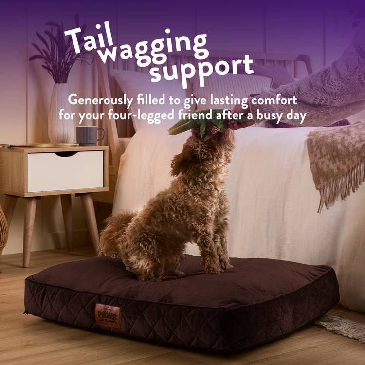 Paws For Slumber luxury chocolate pet bed medium, imported from the UK