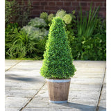 Argos Garden by Sainsbury's Faux Cone Tree Wooden Pot Artificial Potted Tree 74cm- Buy online at McGrocer