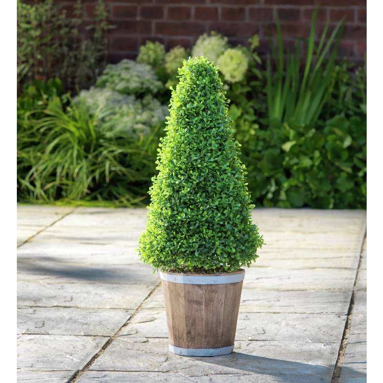 Sainsbury's faux cone tree in lime-washed pot 74cm (British brand)