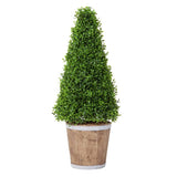 Sainsbury's faux cone tree in lime-washed pot 74cm (British brand)