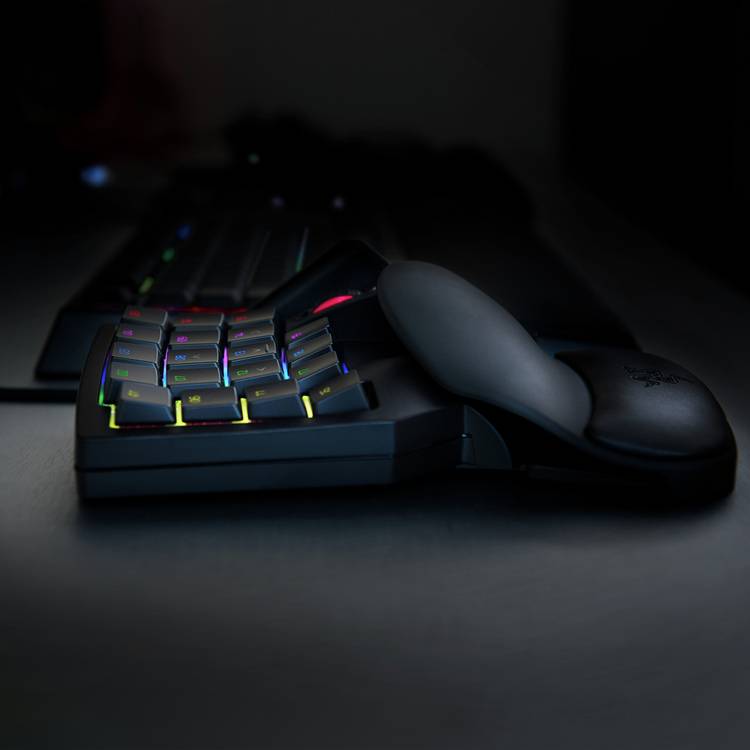 Razer Tartarus V2 gaming keypad black (British brand)