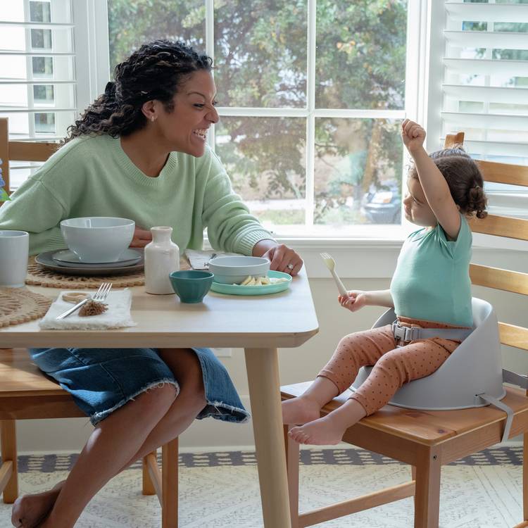 Ingenuity My Spot booster seat grey - British product