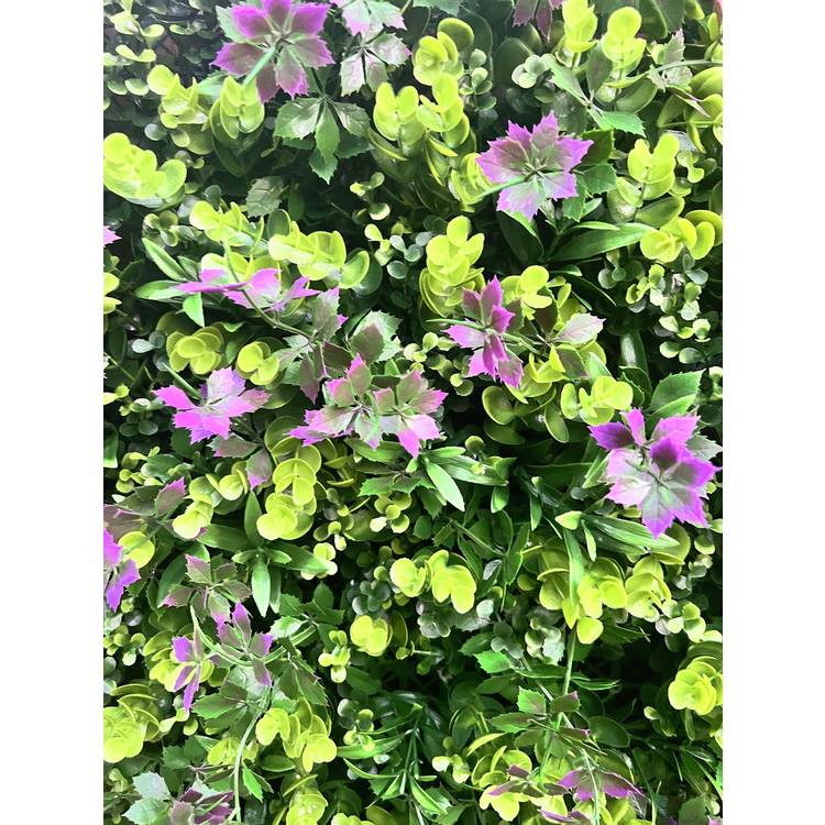 Garden XP lavender wall panels 4 pack, imported from the UK