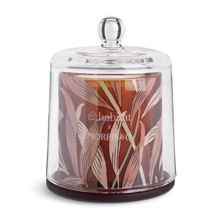 Habitat Morris Oak & Fallen Acorn candle - British product
