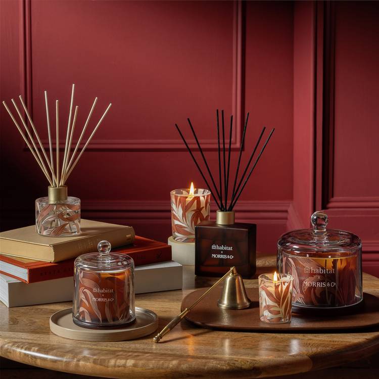 Habitat Morris Oak & Fallen Acorn candle - British product