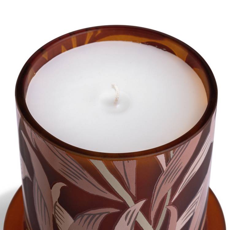 Habitat Morris Oak & Fallen Acorn candle - British product