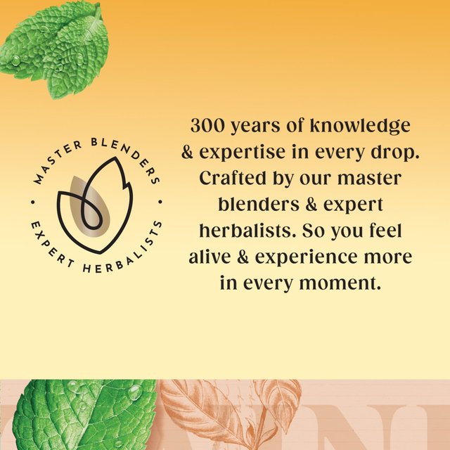 Twinings Buttermint Herbal Tea 20 per pack GOODS M&S