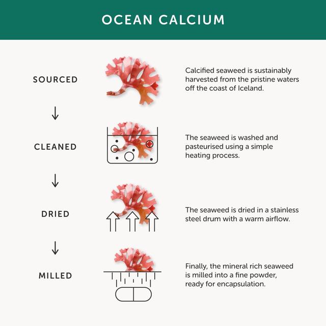 Together Bone Health Supplement 60 per pack GOODS M&S