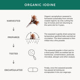 Together Organic Seaweed Iodine Supplement 30 per pack GOODS M&S