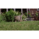 SureFlap microchip pet door - British product