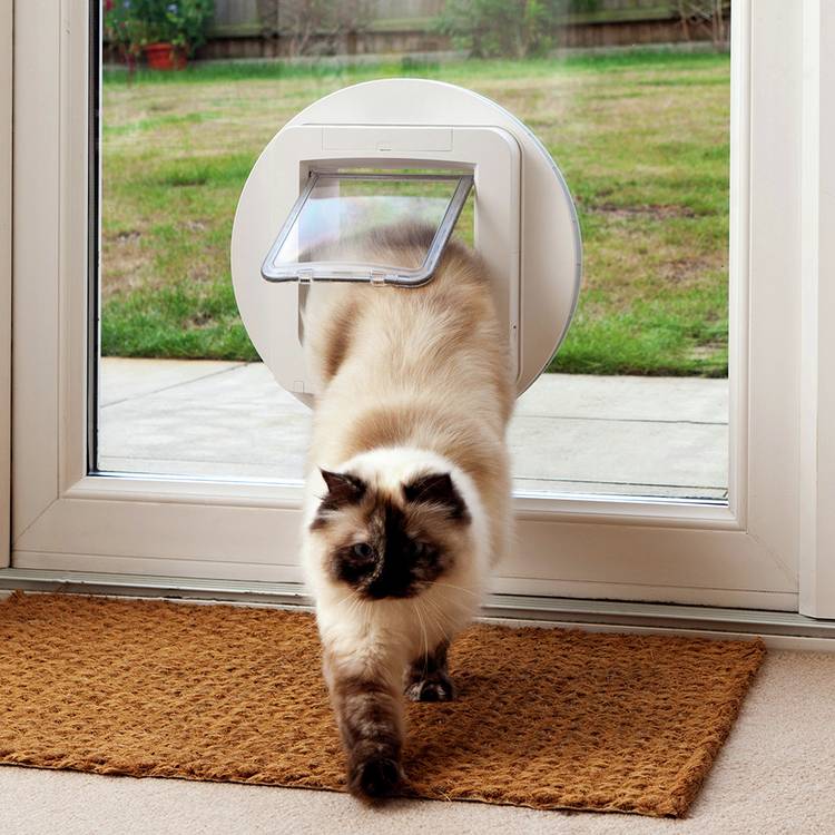 SureFlap microchip pet door - British product
