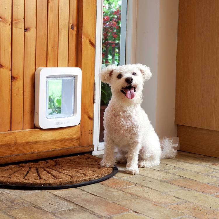 SureFlap microchip pet door - British product
