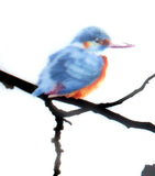 Meissen Porcelain Kingfisher Mug 250ml, imported from the UK
