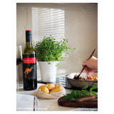 Yellow Tail Jammy Red Roo   75cl GOODS M&S