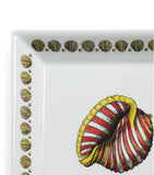 Fornasetti Giro di Conchiglie shell decorative plate 20cm, imported from the UK