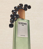 LOEWE Aire Sutileza Eau de Toilette 50ml, UK version