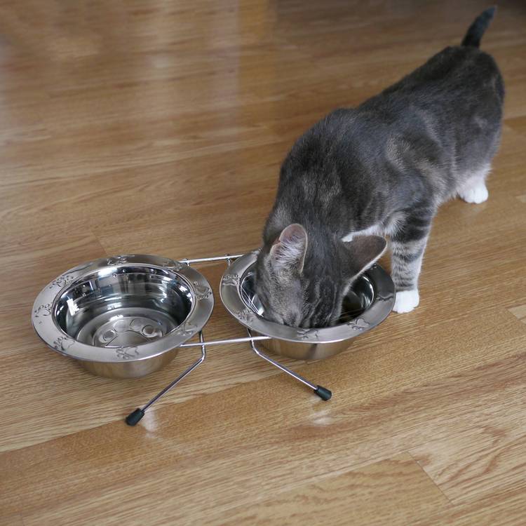 Rosewood Paw Double Diner small stainless steel pet bowl, imported from the UK