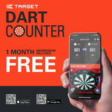 Target Luke Littler 22g 80% tungsten darts set - British product