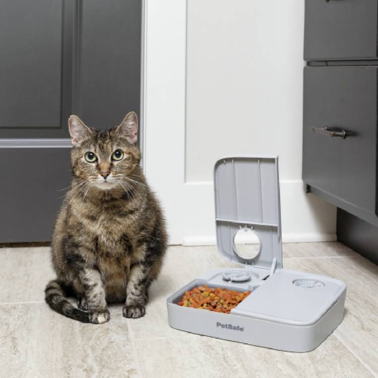 PetSafe automatic 2 meal pet feeder with dial timer, UK version
