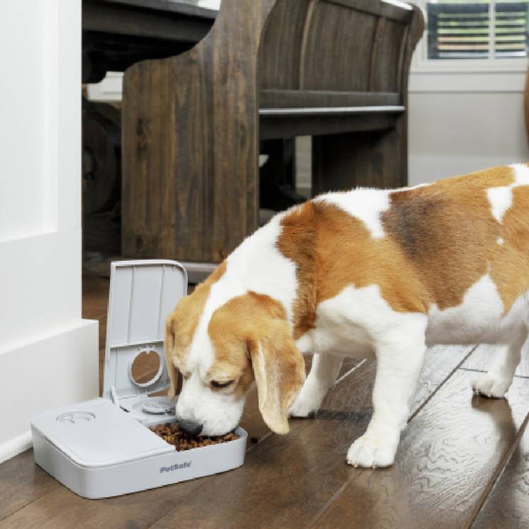 PetSafe automatic 2 meal pet feeder with dial timer, UK version