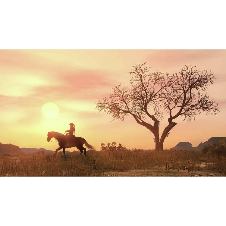 Rockstar Games Red Dead Redemption PS4 game disc, UK version