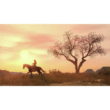 Rockstar Games Red Dead Redemption PS4 game disc, UK version