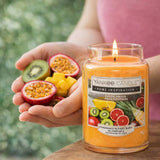 Yankee Candle medium scented candle Exotic Fruits, imported from the UK
