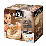 Buki Tyrannosaurus dinosaur skull kit - British product