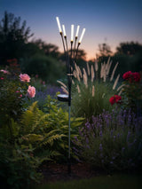 Next The Solar Centre Willow Wisp Solar Reed Light Warm White/White 76cm- Buy online at McGrocer