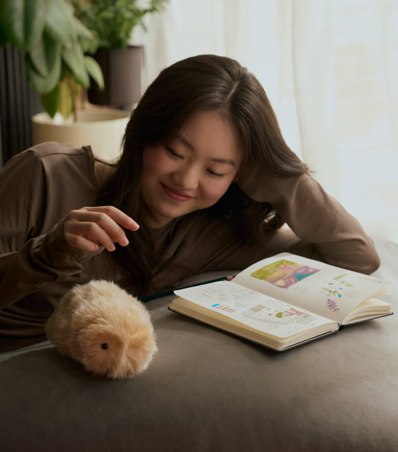 Moflin robotic pet AI companion, UK version