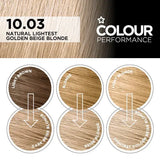 Superdrug Colour Performance Golden Beige Blonde hair dye (British brand)