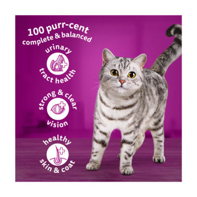 Whiskas dry cat food lamb 800g, UK version